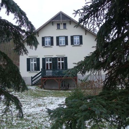 Pension Gräfliche Villa Reitwein Exterior foto