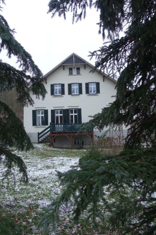 Pension Gräfliche Villa Reitwein Exterior foto